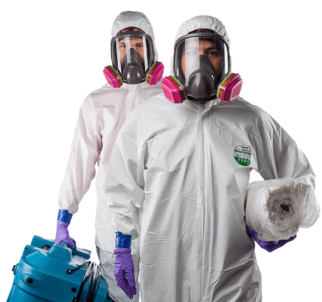mold remediation services Woodstock Ontario